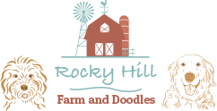 Rocky Hill Farm & Doodles Logo
